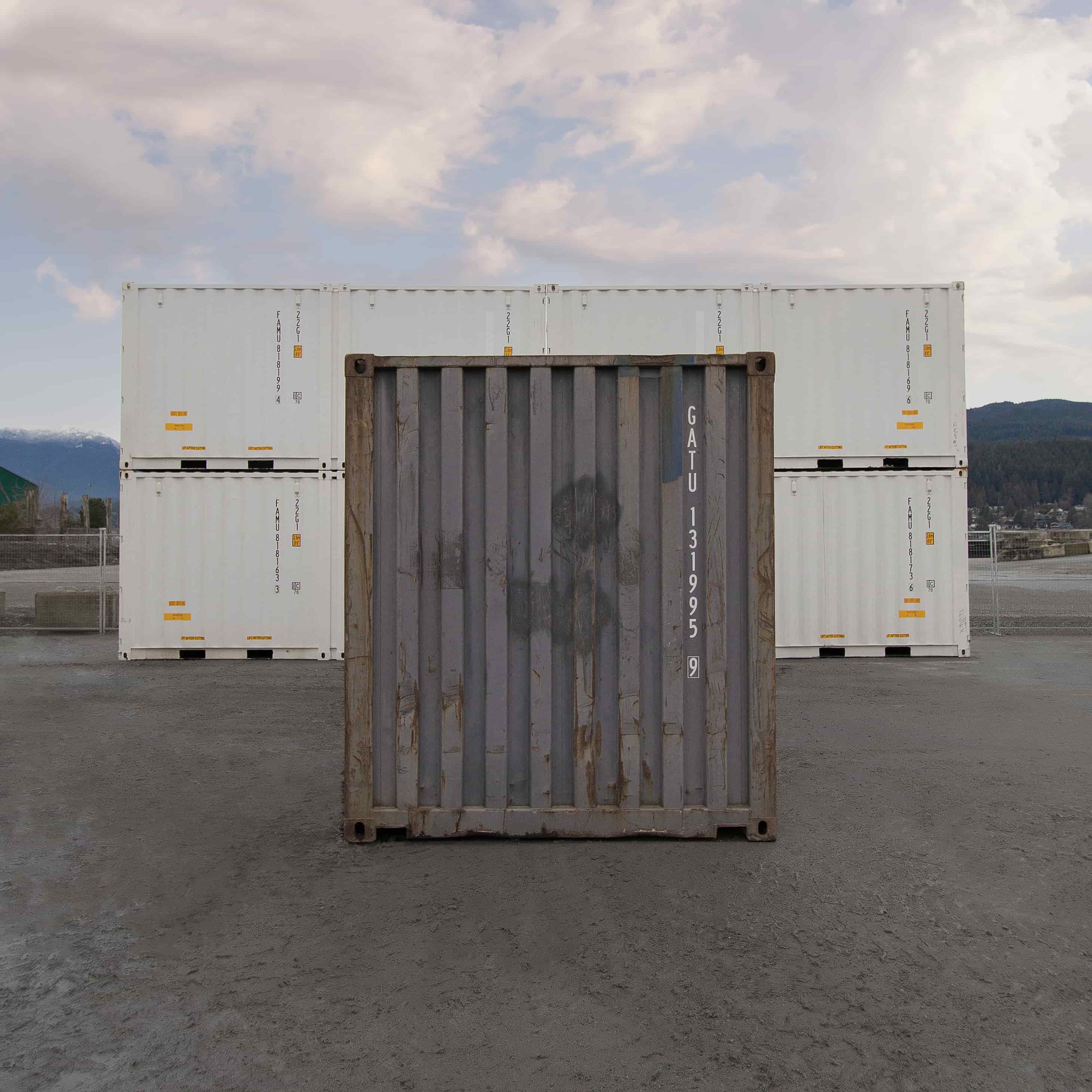 20&prime; Used Shipping Container - Port Shipping Containers